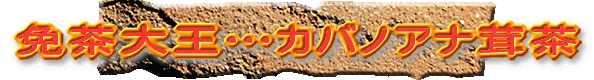 �ƒ��剤�c�J�o�m�A�i����