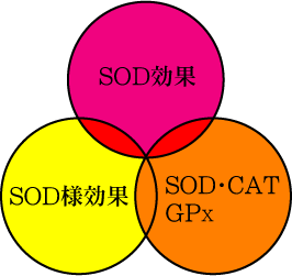 SOD効果図